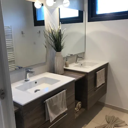 Bord De Aux Pins Penches