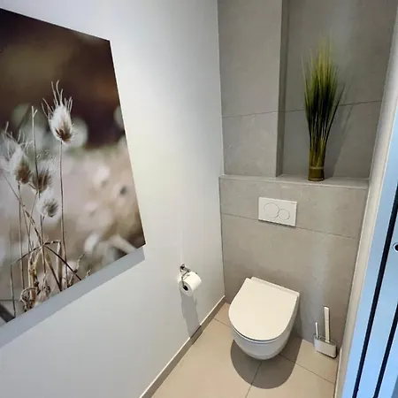 Bord De Aux Pins Penches * Carqueiranne