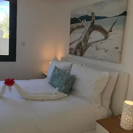 Bord De Aux Pins Penches Carqueiranne