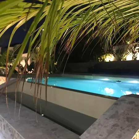 Bord De Aux Pins Penches * Carqueiranne