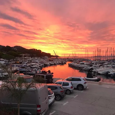 Bord De Aux Pins Penches